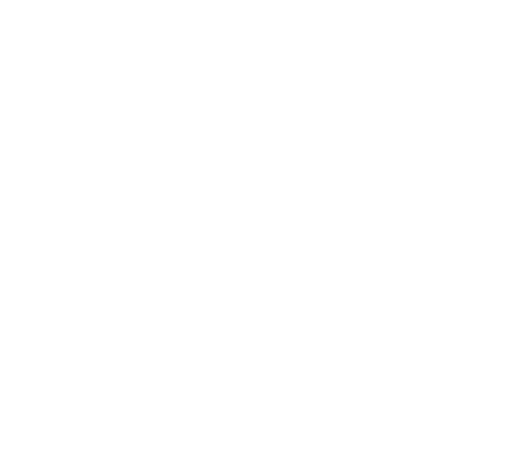 ships